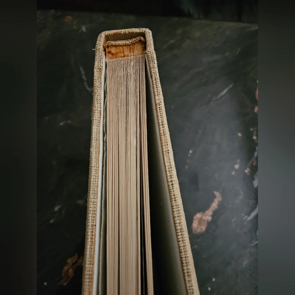 POTTERY BARN Scrapbook Photo Album Journal Raffia shell art natural scrapbooking